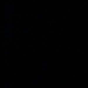 *Reserved* Lisa Frank Bundle